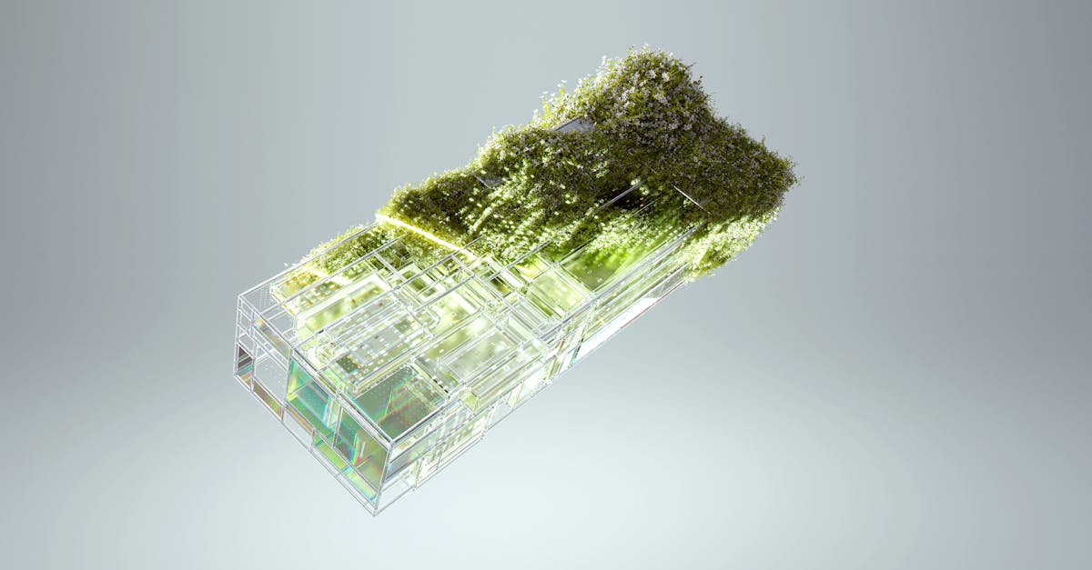 AI Girlfriends as a Source of Emotional Stability and Comfort