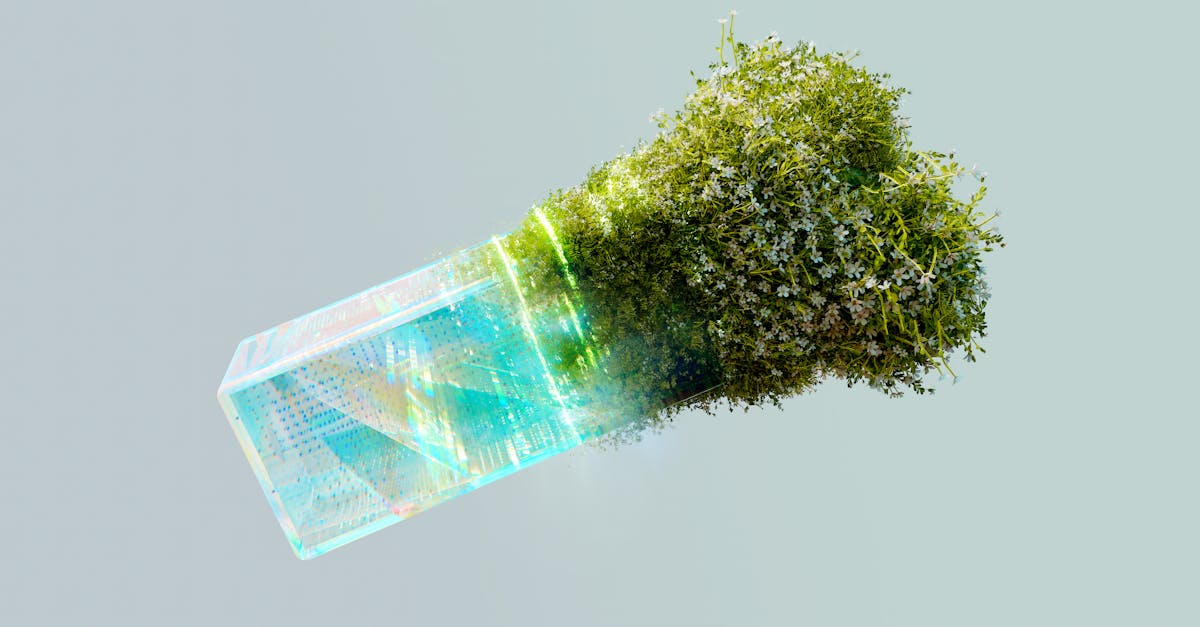 Companionship Redefined: Insights from Users of AI Girlfriends