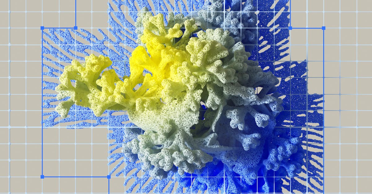 Evaluating the Long-Term Implications of AI Companions