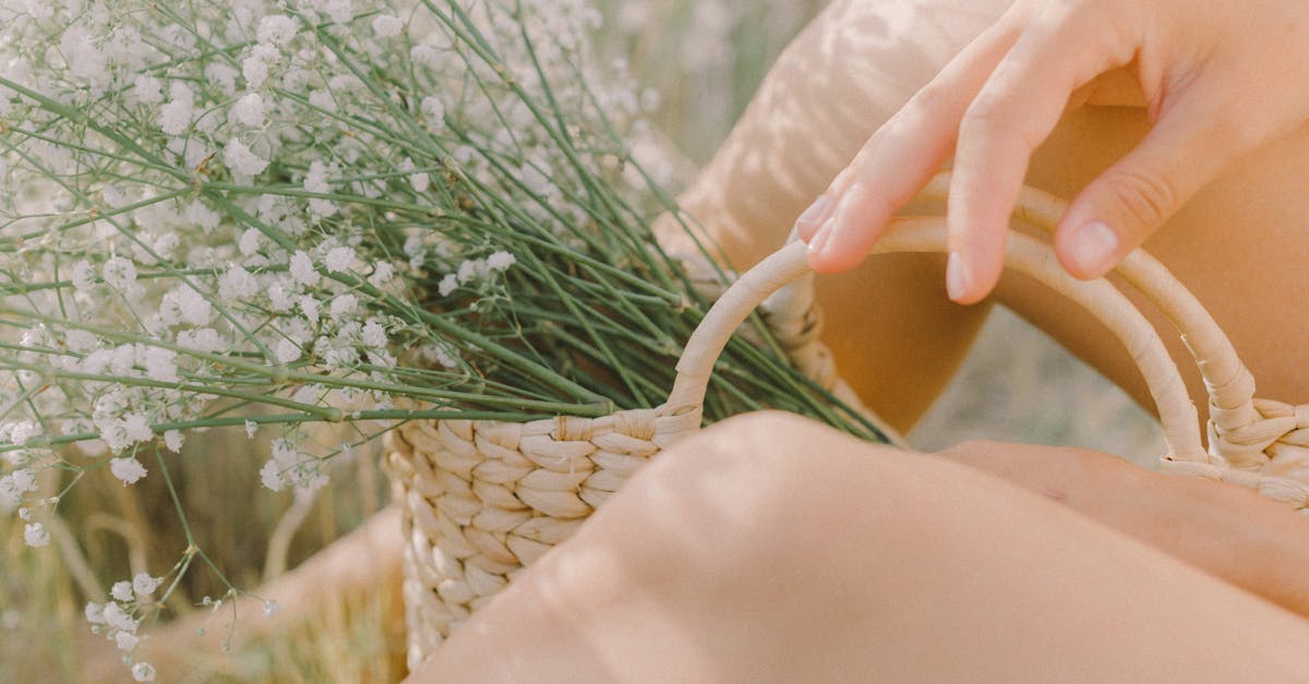 The Impact of Virtual Relationships on Social Skills Development