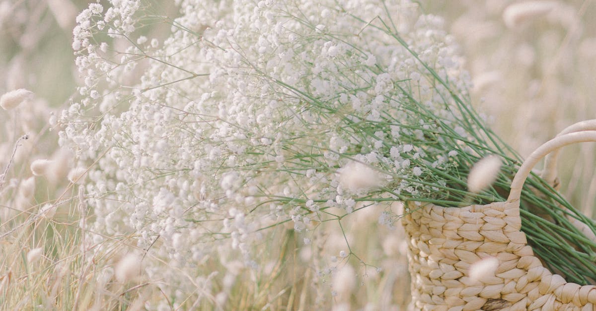 The Role of Customization in Enhancing AI Girlfriends