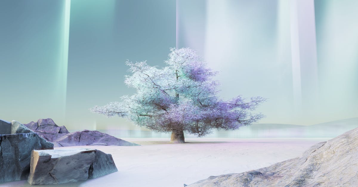 The Role of Transparency in AI Relationship Design