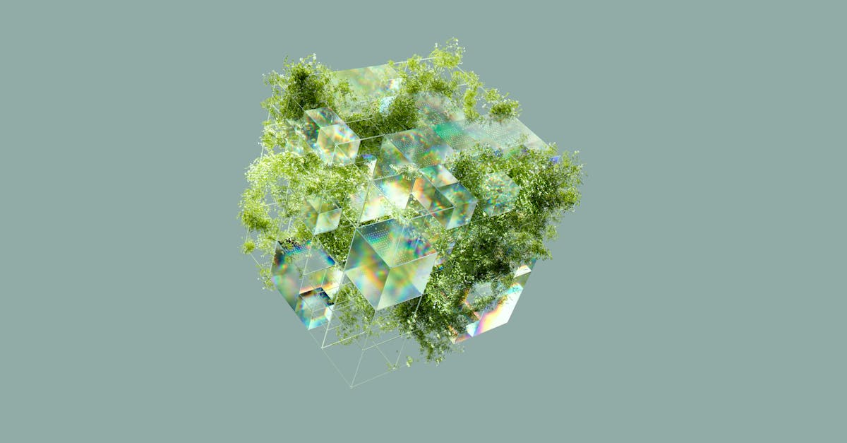 User Reflections: The Journey with an AI Girlfriend